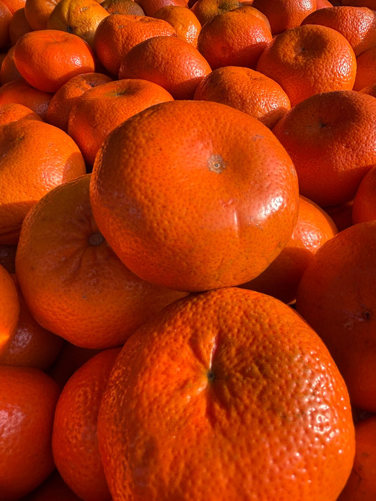 Mandarina